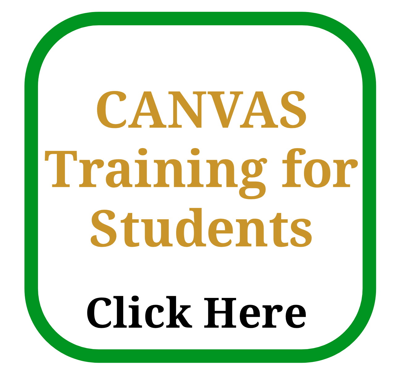 canvas training