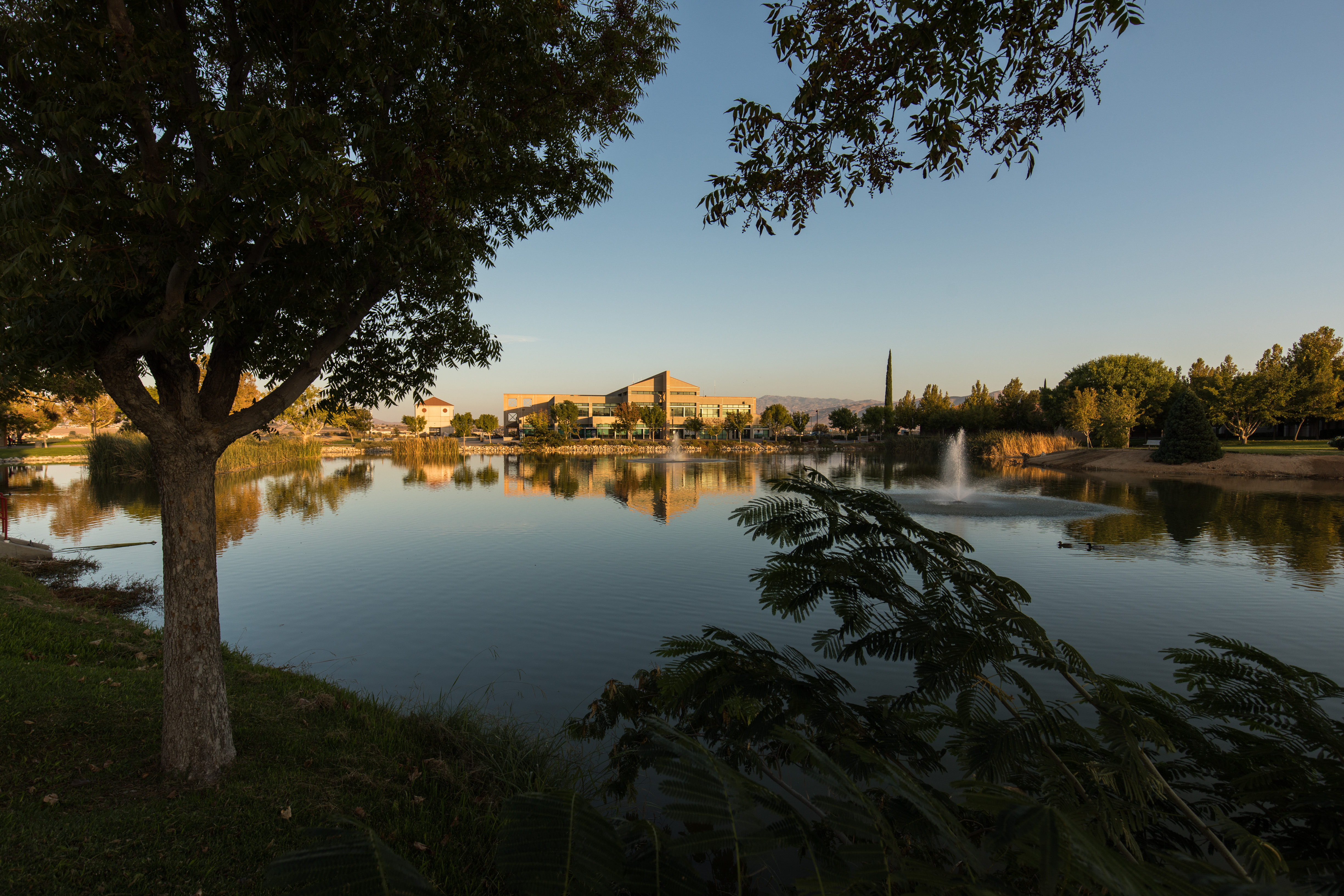 ENVIRONMENTAL | Victor Valley College
